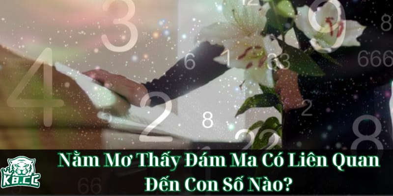 nhung-con-so-may-man-khi-nam-mo-thay-dam-ma-goi-y-de-ban-tim-van-may